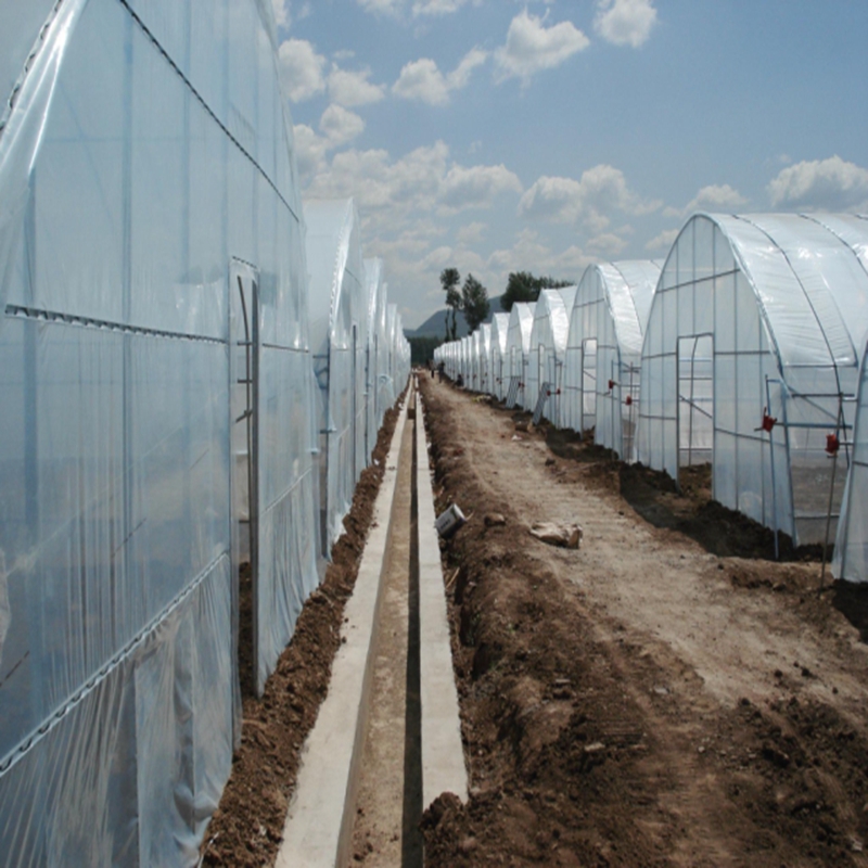 Greenhouse Plastic Film - 0.04~0.12mm Agricultural Greenhouse Film Farm Crops