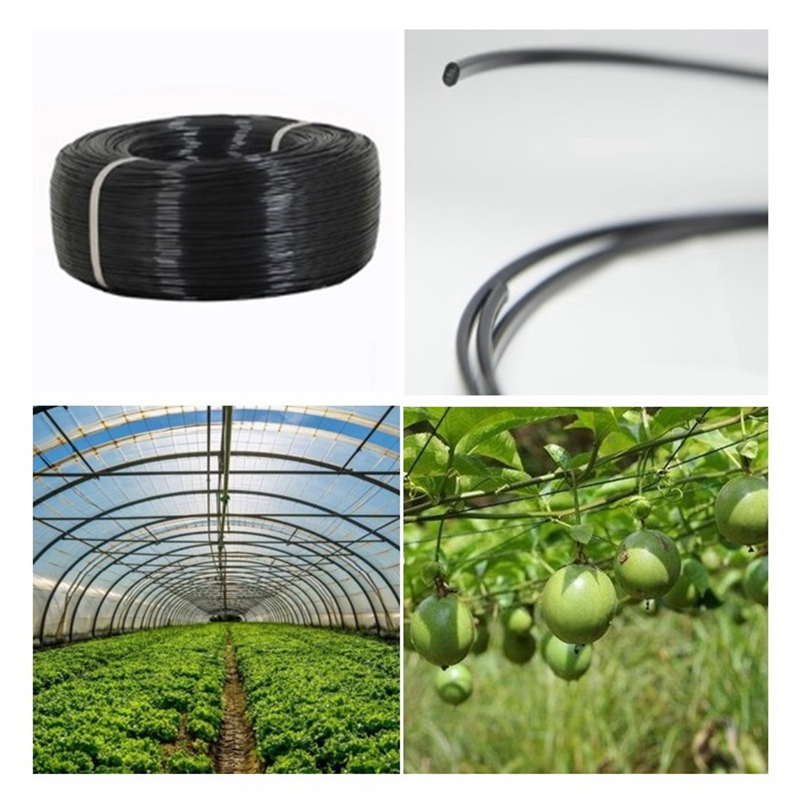 Greenhouse Plastic Film - 50m Plastic Steel Wire Agriculture Greenhouse