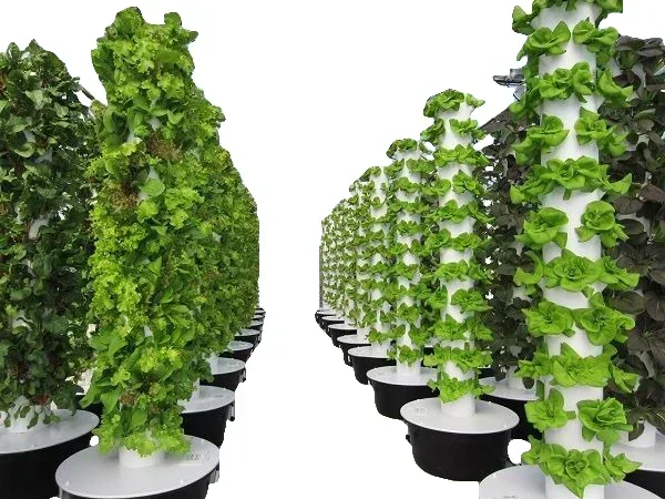 Agricultural greenhouses verti - Hydroponic Farming Agriculture review and price