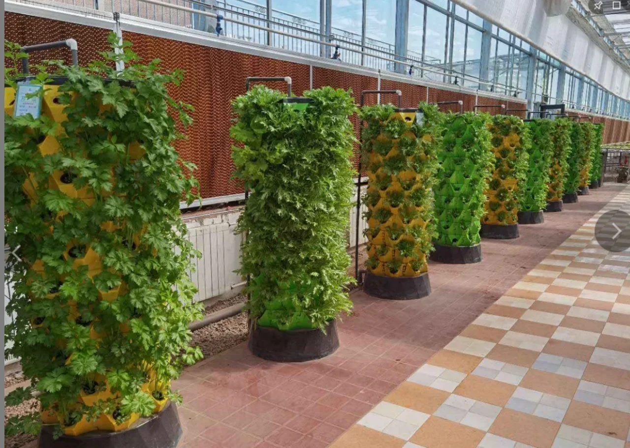 Agricultural greenhouses verti - Hydroponic Farming Agriculture review and price