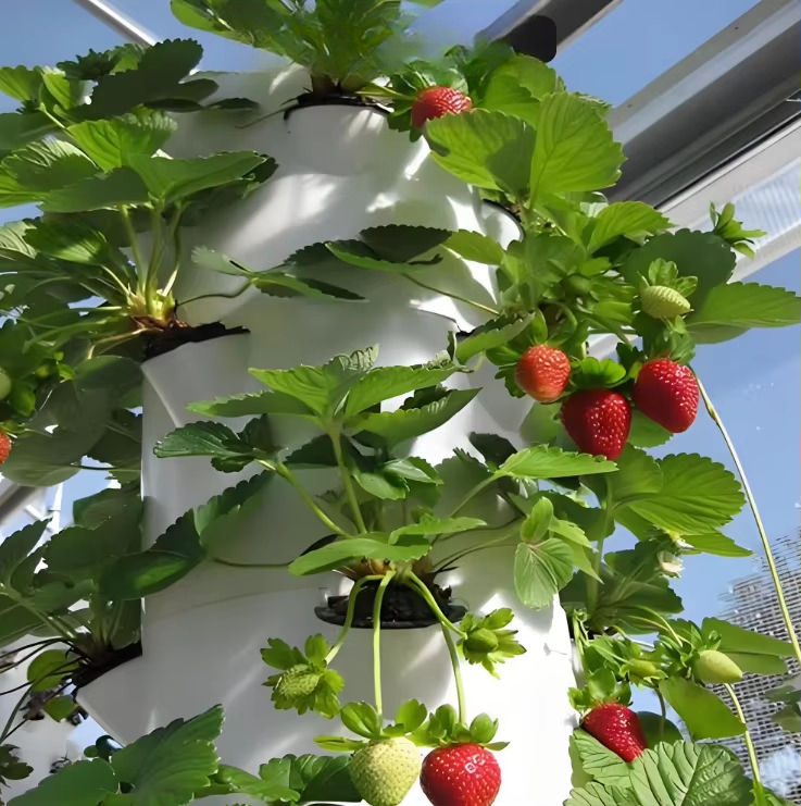 Modular hydroponic growth wall - Hydroponic Farming Agriculture review and price