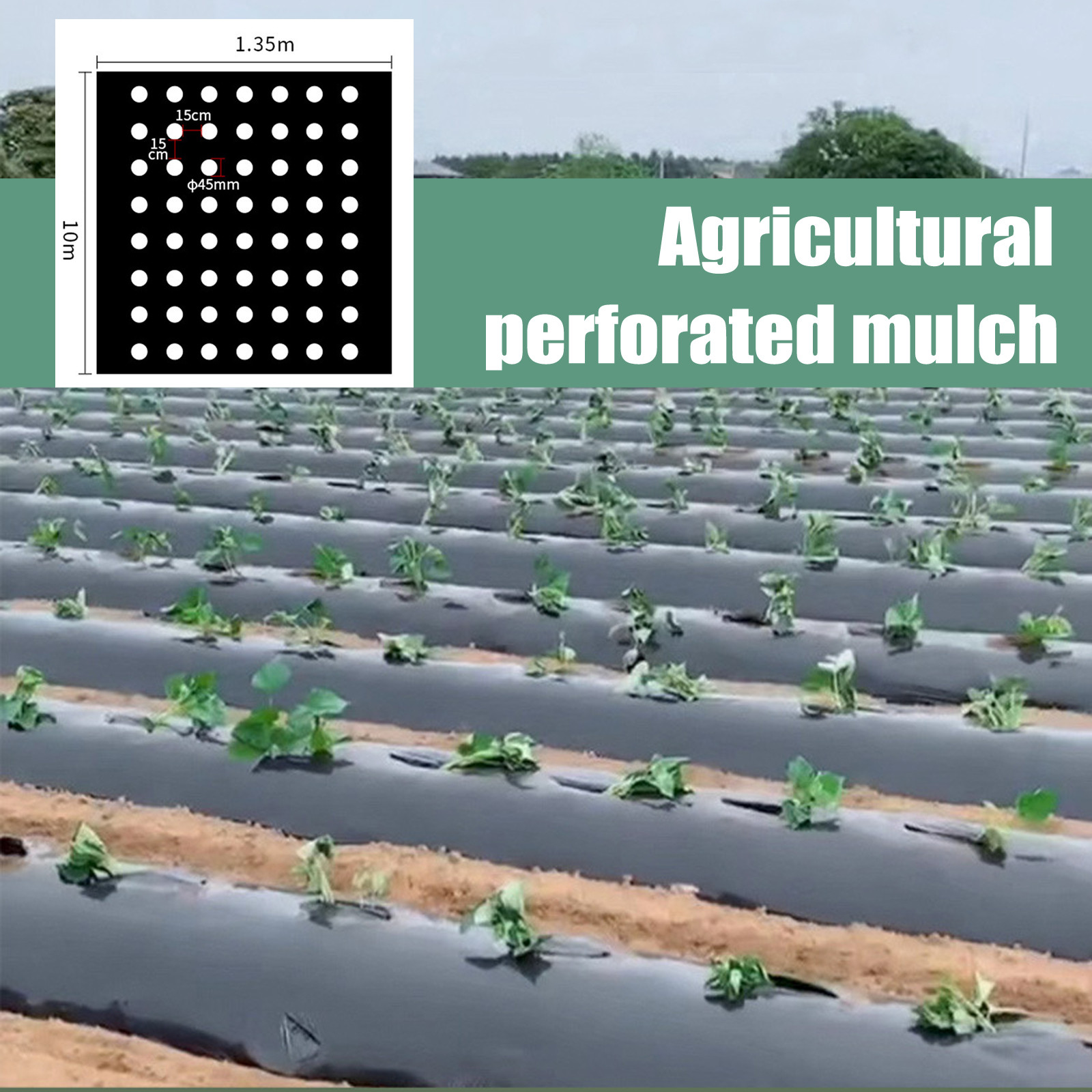 PE Perforated Mulch Film Farm  - Greenhouse Plastic Film review and price