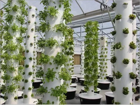 High quality agricultural home - Hydroponic Farming Agriculture review and price