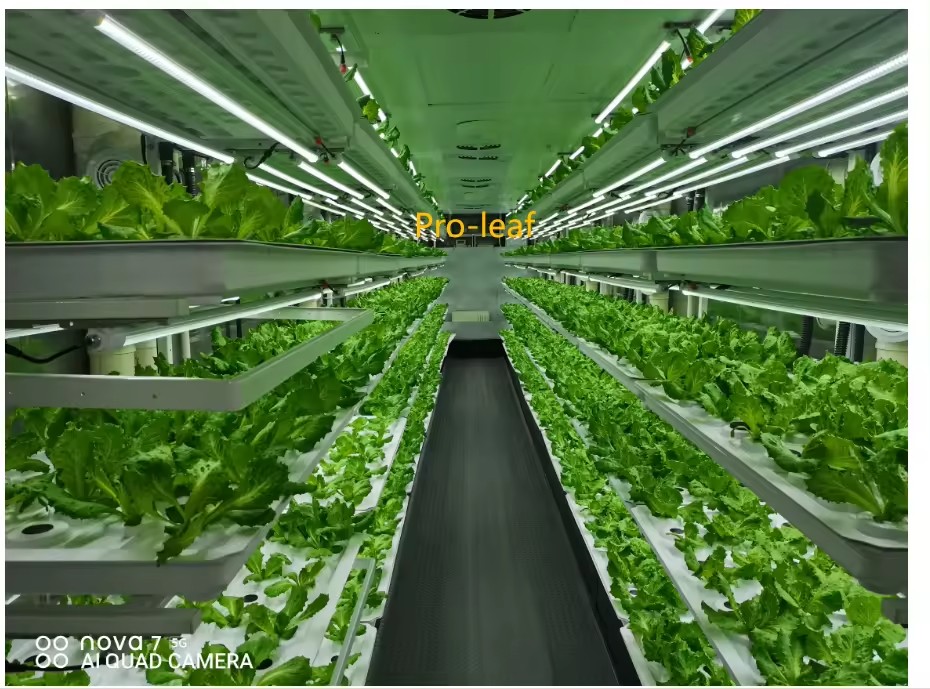 f Greenhouse Agricultural Equi - Hydroponic Farming Agriculture review and price