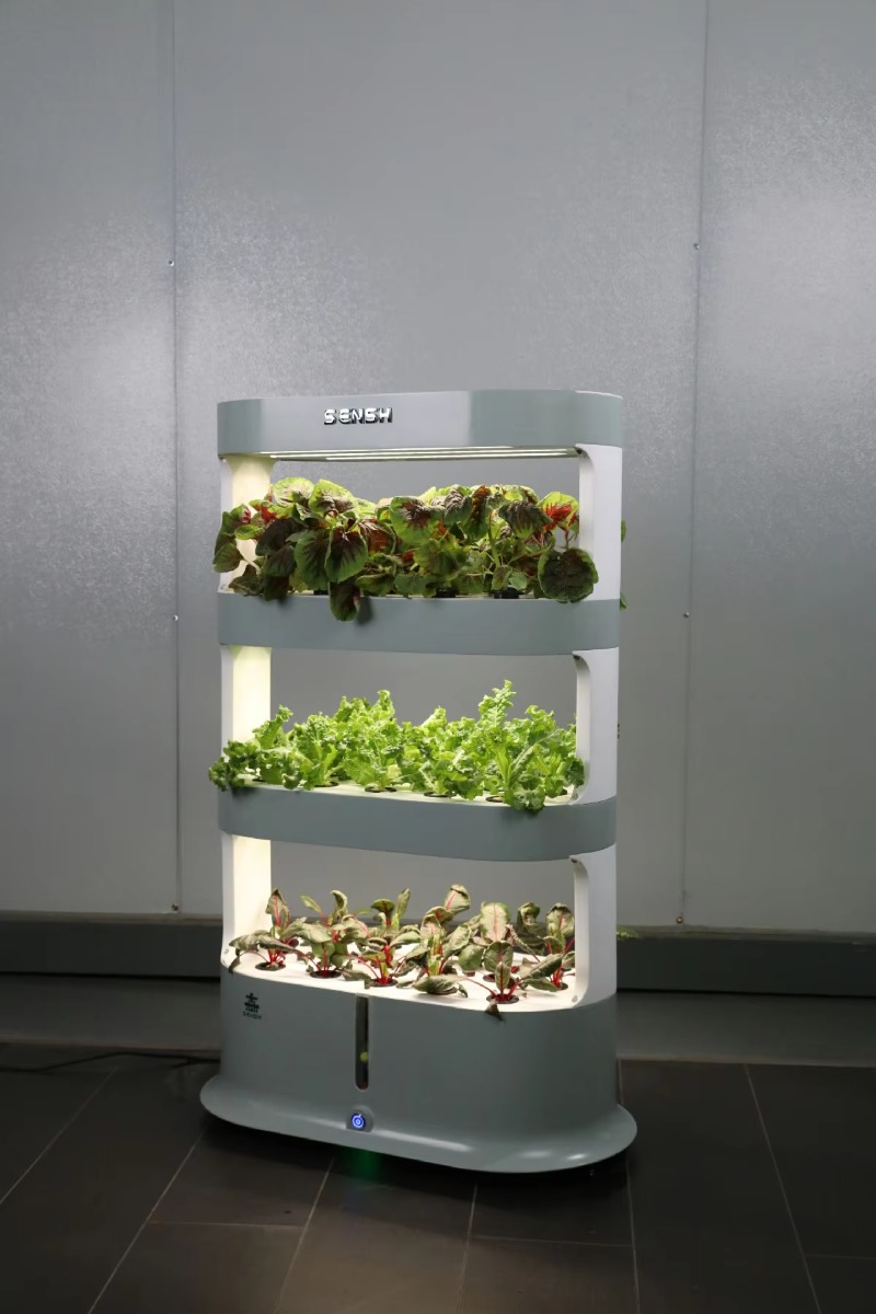 Factory Wholesale Unique Farm  - Hydroponic Farming Agriculture review and price