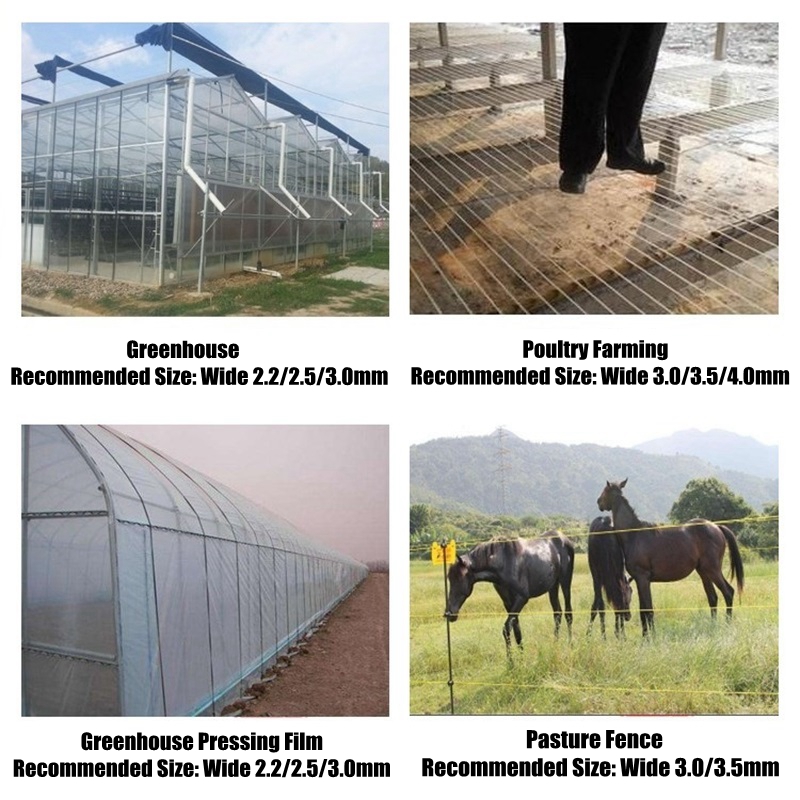 50m Plastic Steel Wire Agricul - Greenhouse Plastic Film review and price