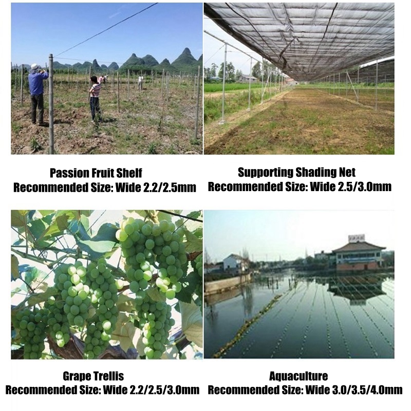 50m Plastic Steel Wire Agricul - Greenhouse Plastic Film review and price