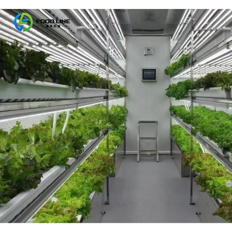 Customized Smart Farm Vertical - Hydroponic Farming Agriculture review and price