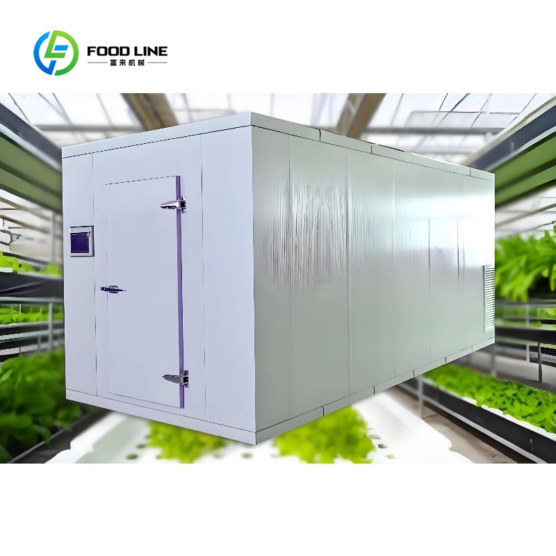 Customized Smart Farm Vertical - Hydroponic Farming Agriculture review and price