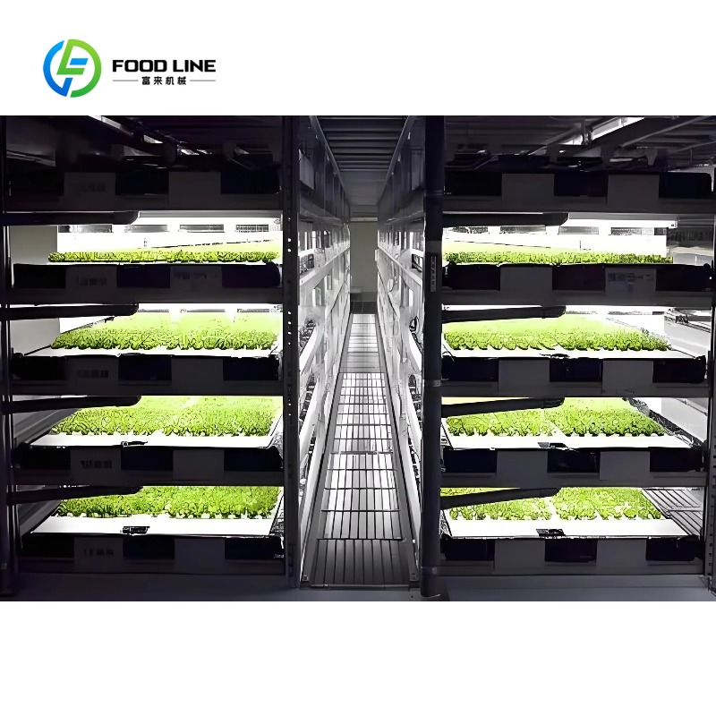 Customized Smart Farm Vertical - Hydroponic Farming Agriculture review and price