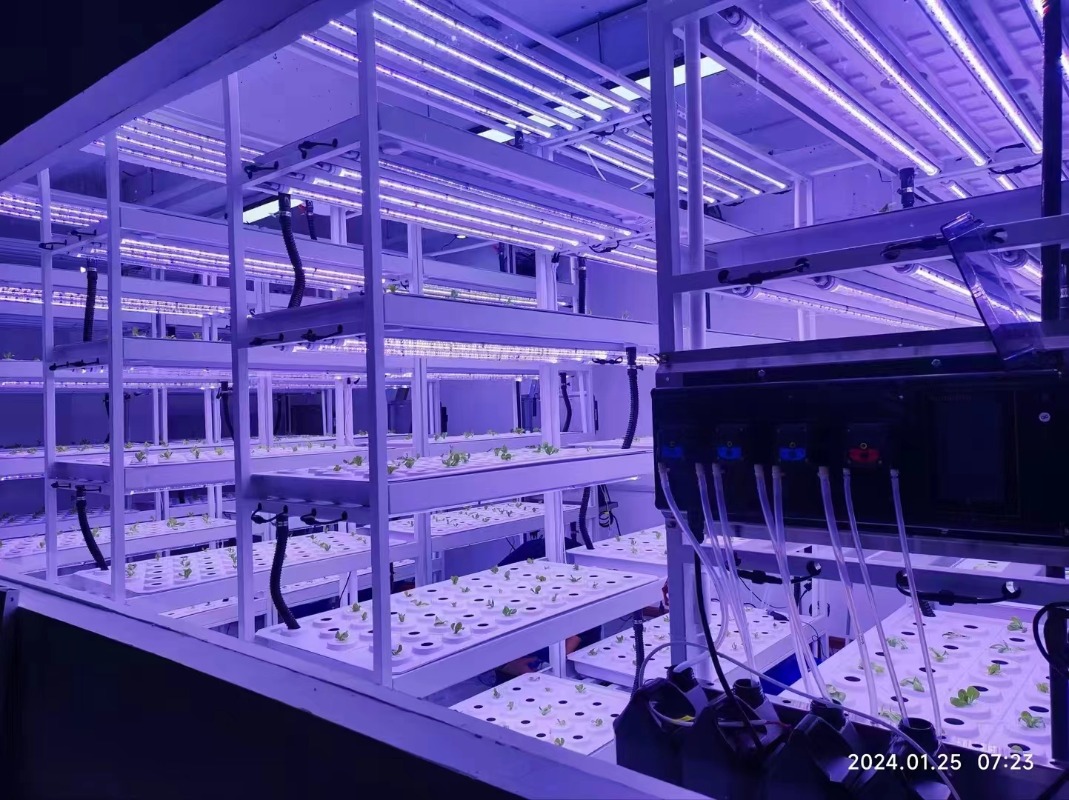 Small Vertical Hydroponic Towe - Hydroponic Farming Agriculture review and price