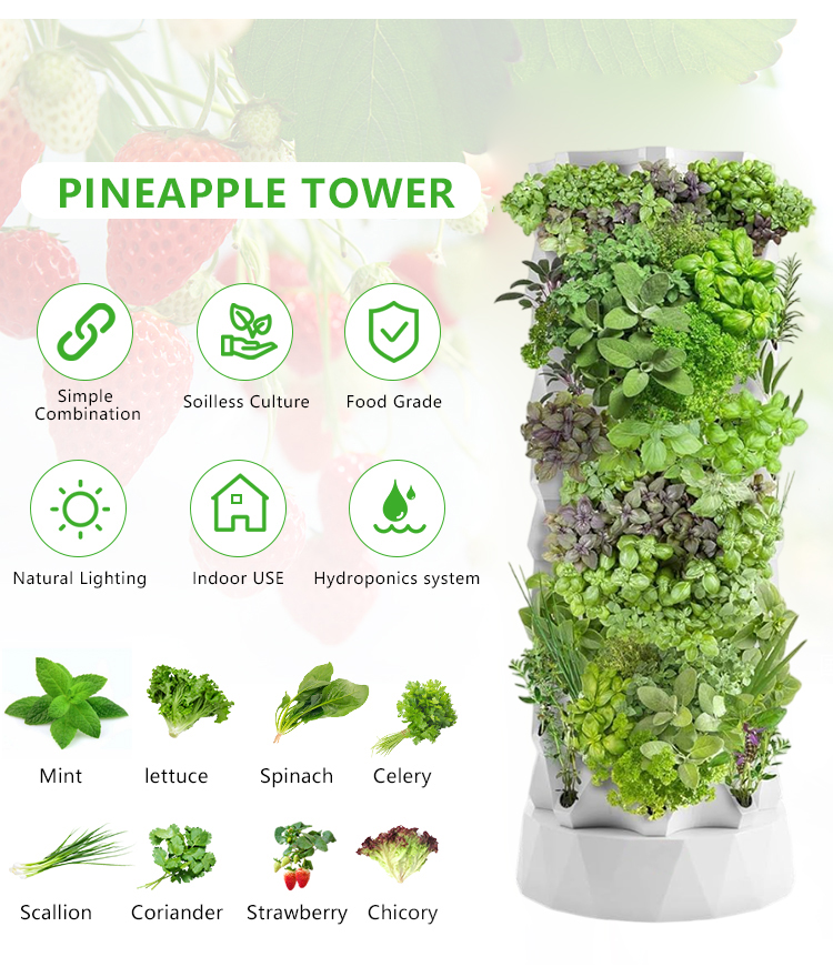 Upgraded Indoor Farming Outdoo - Hydroponic Farming Agriculture review and price
