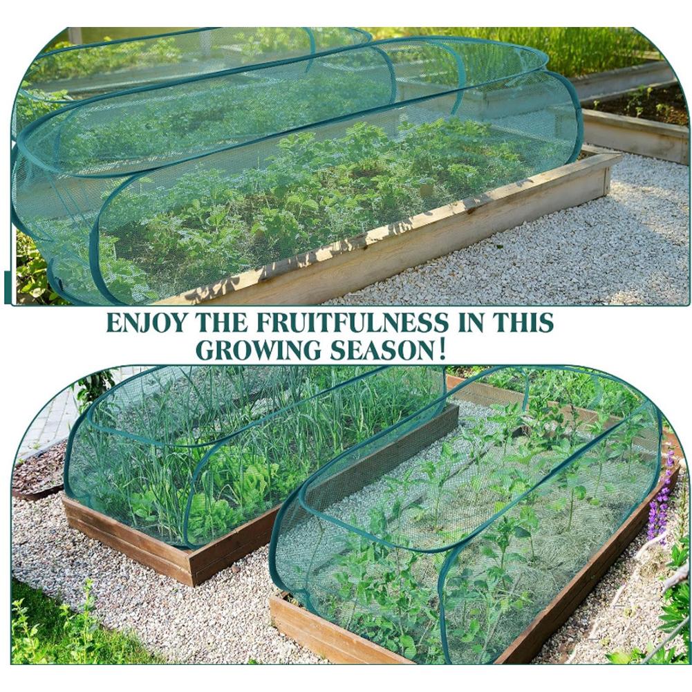 High Quality Summer Plant Flow - Greenhouse Plastic Film review and price