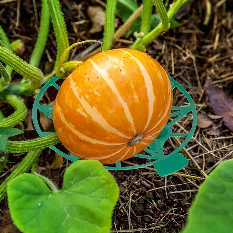 Watermelon Support Greenhouse  - Greenhouse Plastic Film review and price