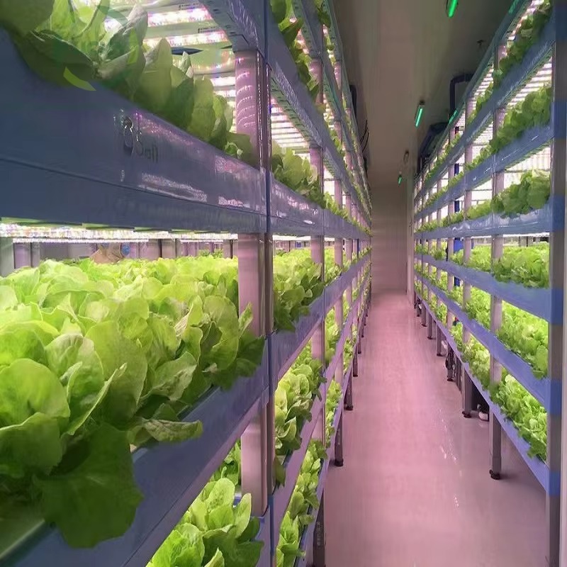 Custom Agricultural Greenhouse - Hydroponic Farming Agriculture review and price