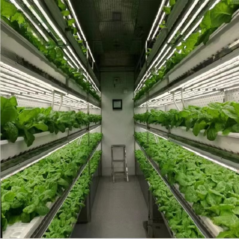 Custom Agricultural Greenhouse - Hydroponic Farming Agriculture review and price