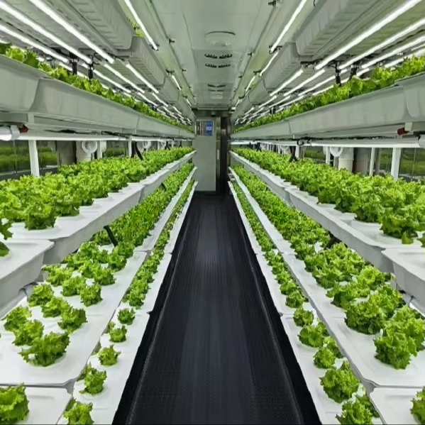 Smart Automatic Aeroponic/Aqua - Farming A review and price