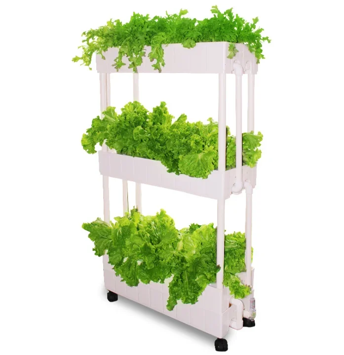 Customization Agriculture hydr - Hydroponic Farming Agriculture review and price