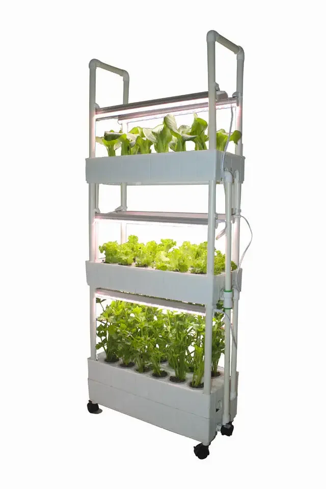 Customization Agriculture hydr - Hydroponic Farming Agriculture review and price