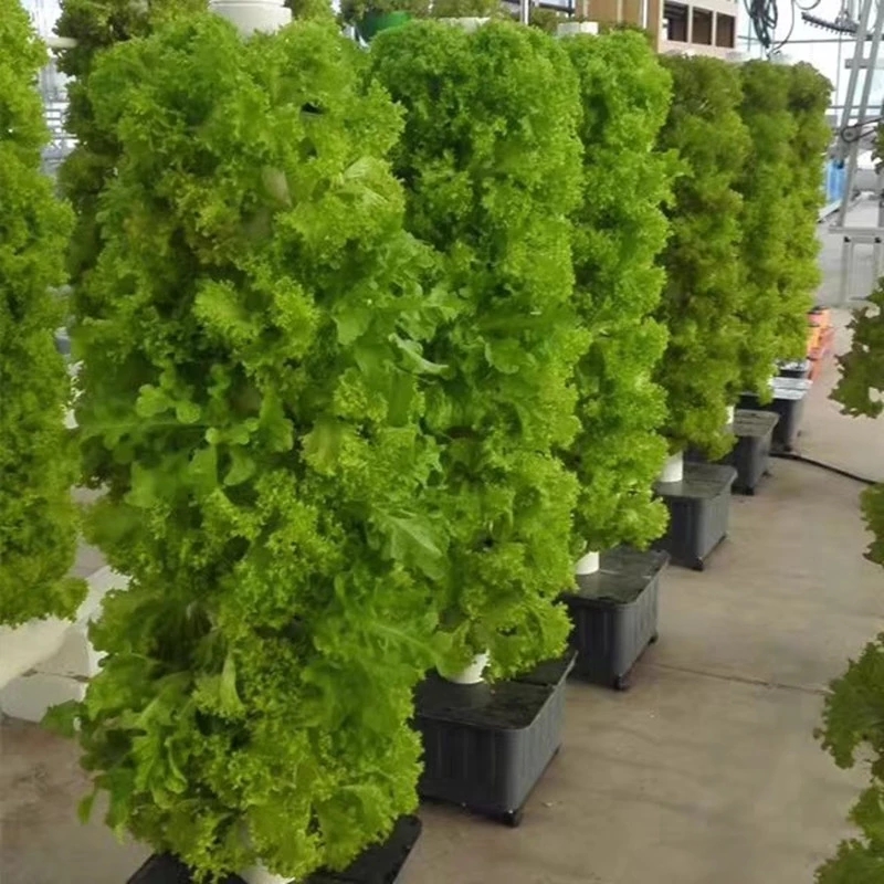 Vertical Hydroponic Growing Sy - Hydroponic Farming Agriculture review and price