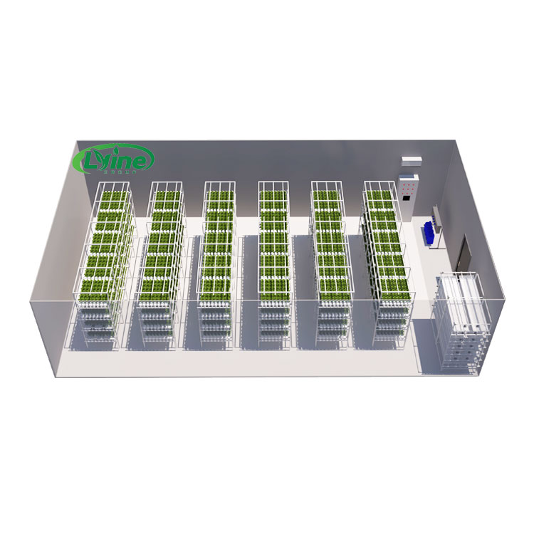 Agricultural Greenhouses Lettu - Hydroponic Farming Agriculture review and price