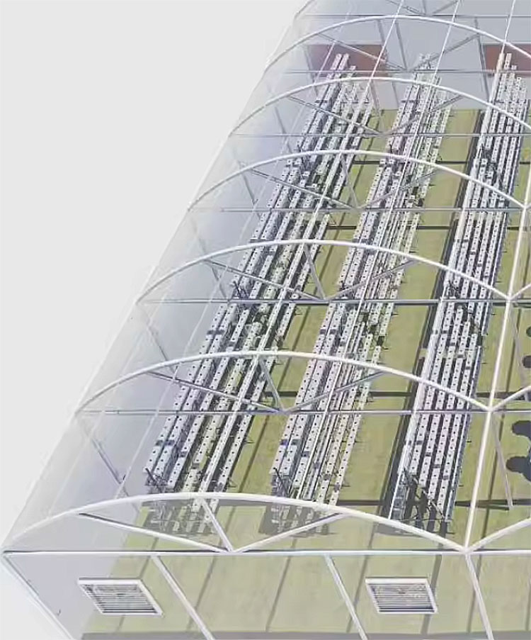 Agricultural Greenhouses Lettu - Hydroponic Farming Agriculture review and price