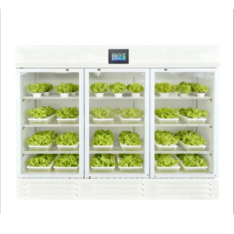 HEZHOU HZ-3 Indoor Hydroponic  - Farming A review and price