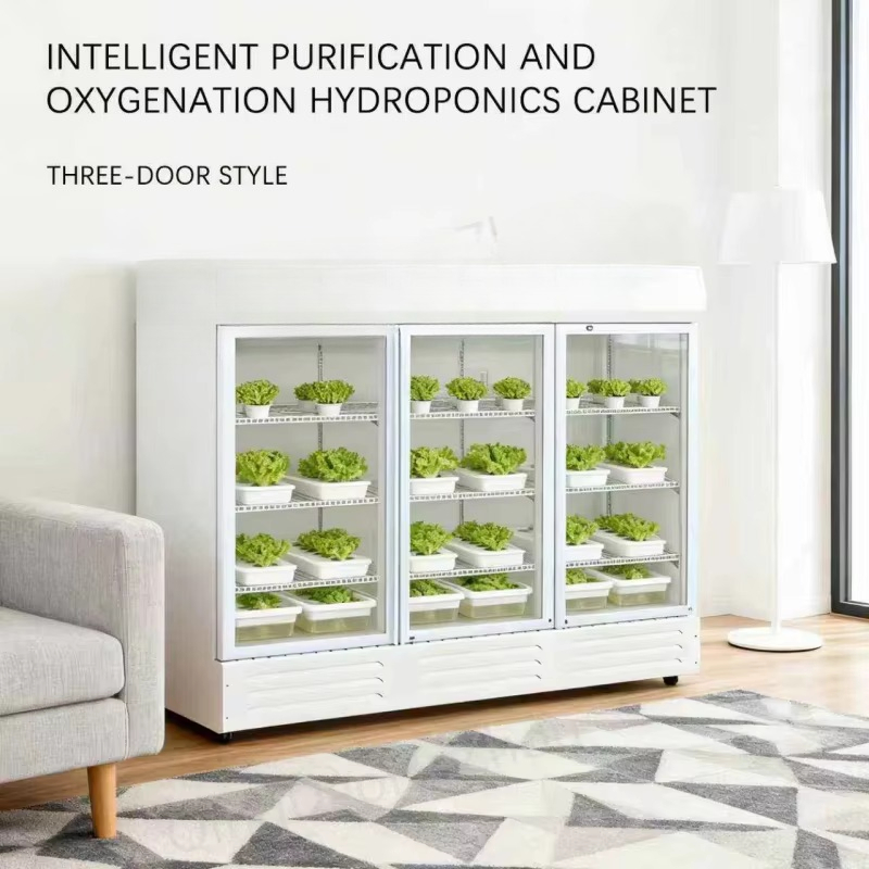 HEZHOU HZ-3 Indoor Hydroponic  - Farming A review and price